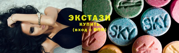 ECSTASY Бородино