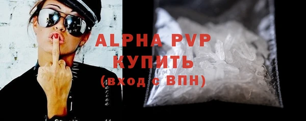 ECSTASY Бородино