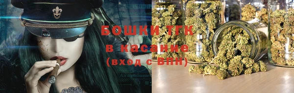 ECSTASY Бородино