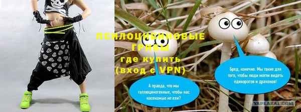 ECSTASY Бородино
