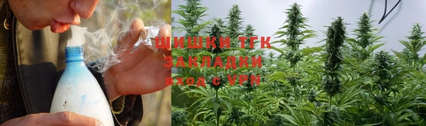 ECSTASY Бородино