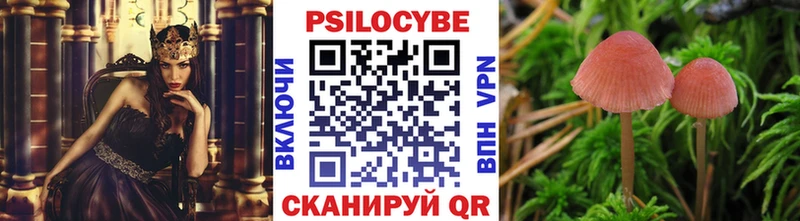 как найти закладки  Бузулук  Галлюциногенные грибы GOLDEN TEACHER 