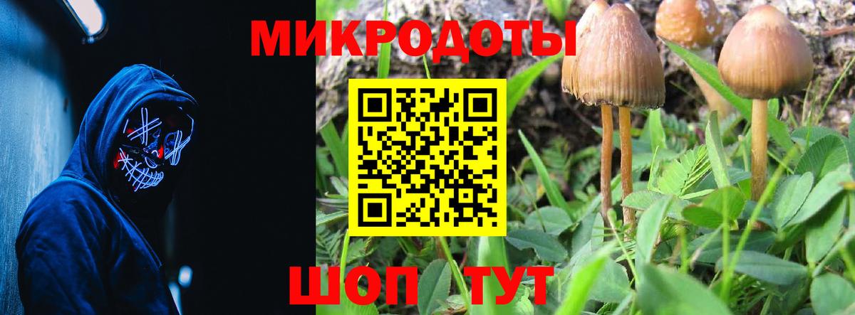 Галлюциногенные грибы Cubensis  Вход с VPN  Бузулук  купить закладку  Галлюциногенные грибы мухоморы 